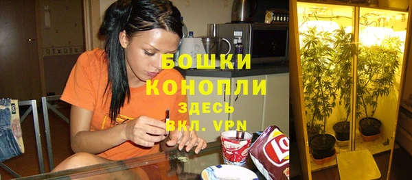 гашик Аркадак