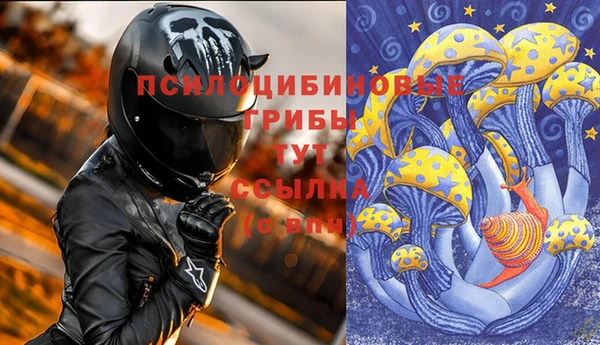 стаф Алексин